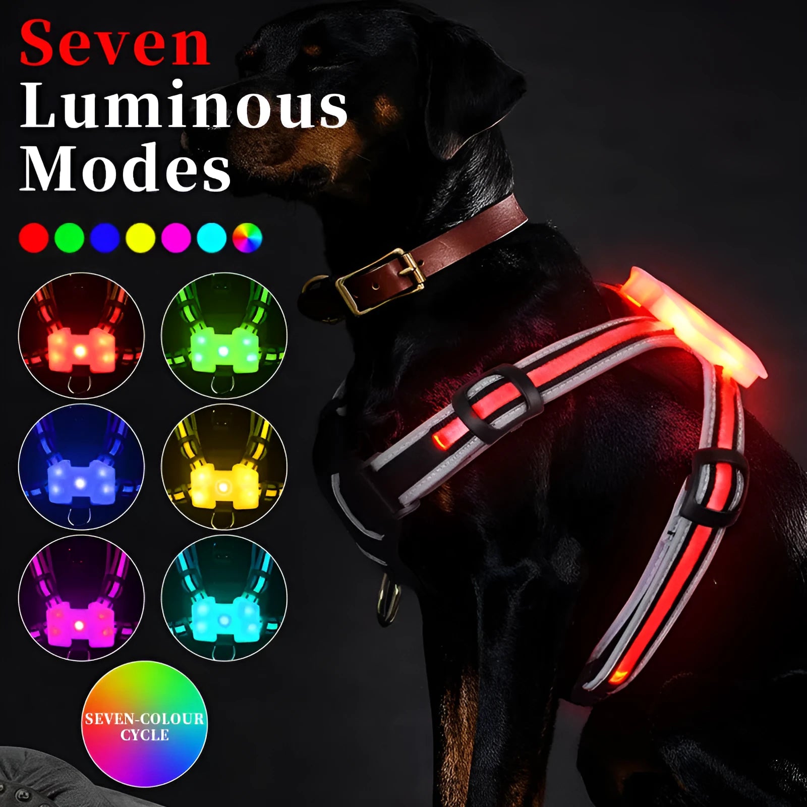Luminous dog lead with USB charging cable showing seven-colour transformation on nylon strap