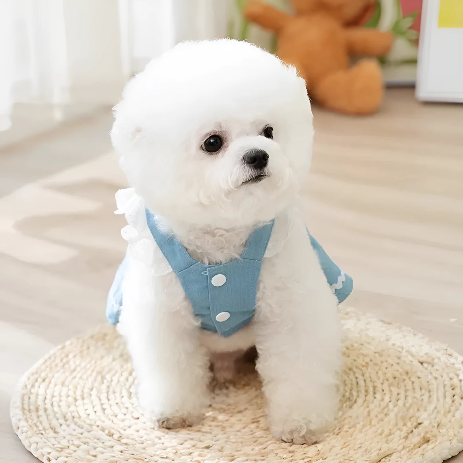 Bondi Blue dog skirt with strawberry prints and traction strips for small dogs