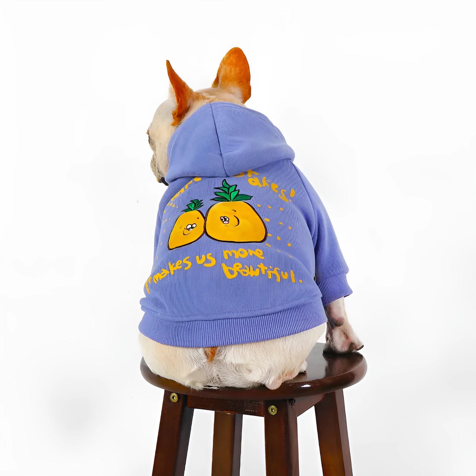 Blue and purple cotton pet hoodie with cartoon print design for winter wear