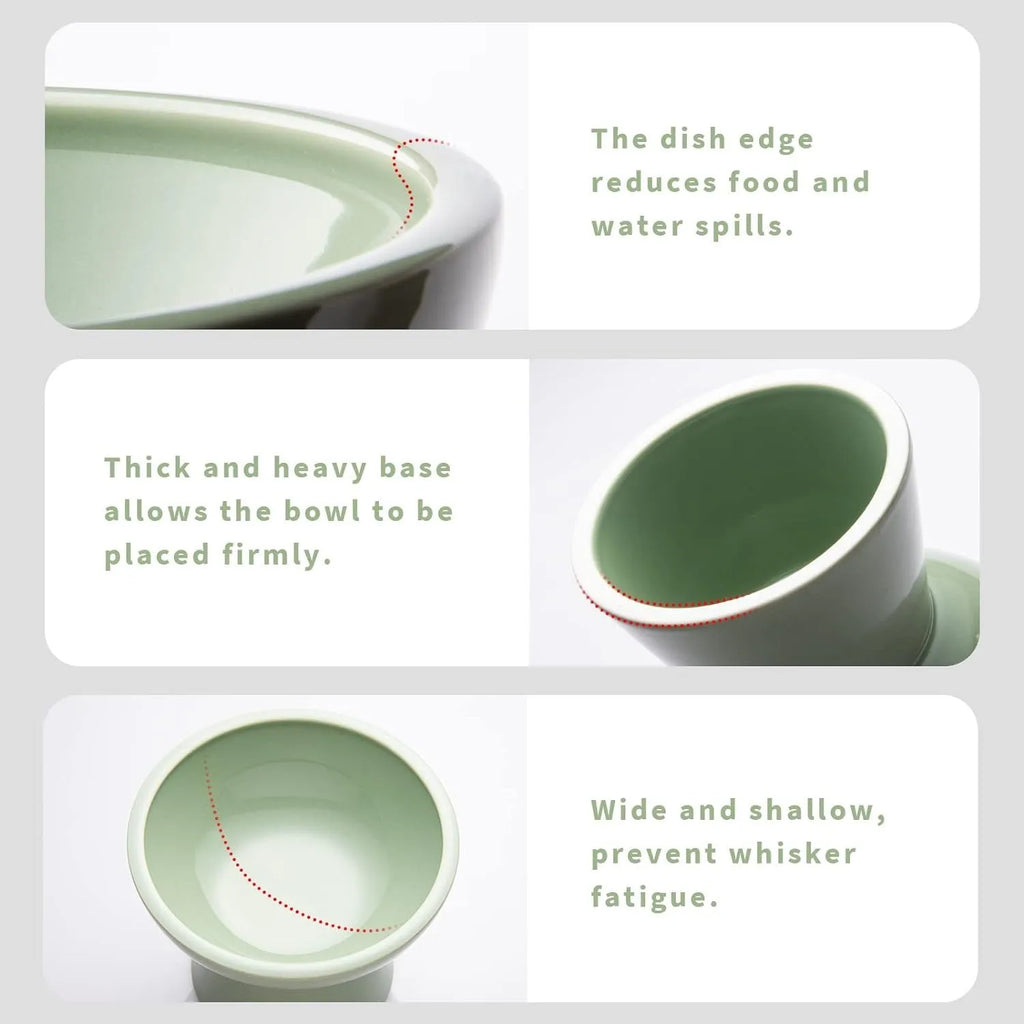 A wide, shallow ceramic cat bowl in an elevated stand, shown in blue, green, pink, or white.