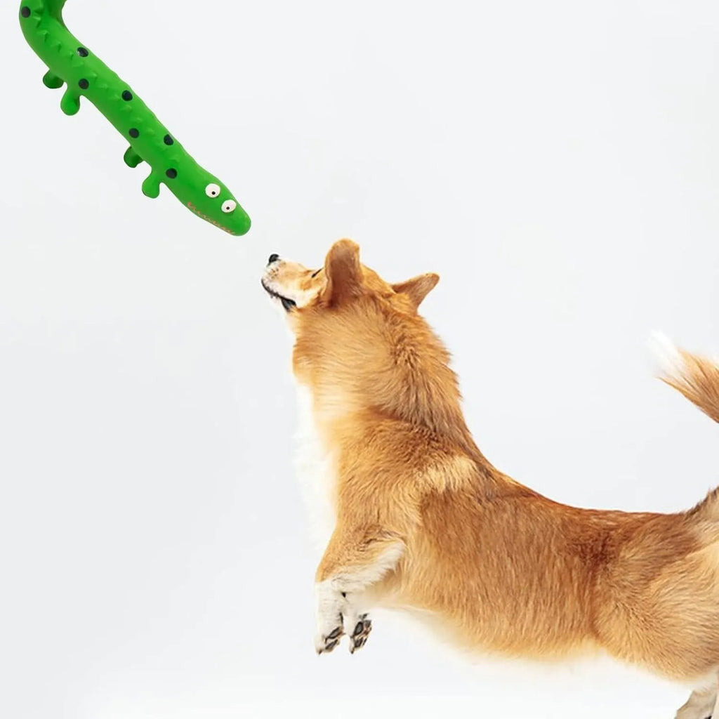 Green cartoon lizard-shaped dog chew toy with textured surface for teeth cleaning.