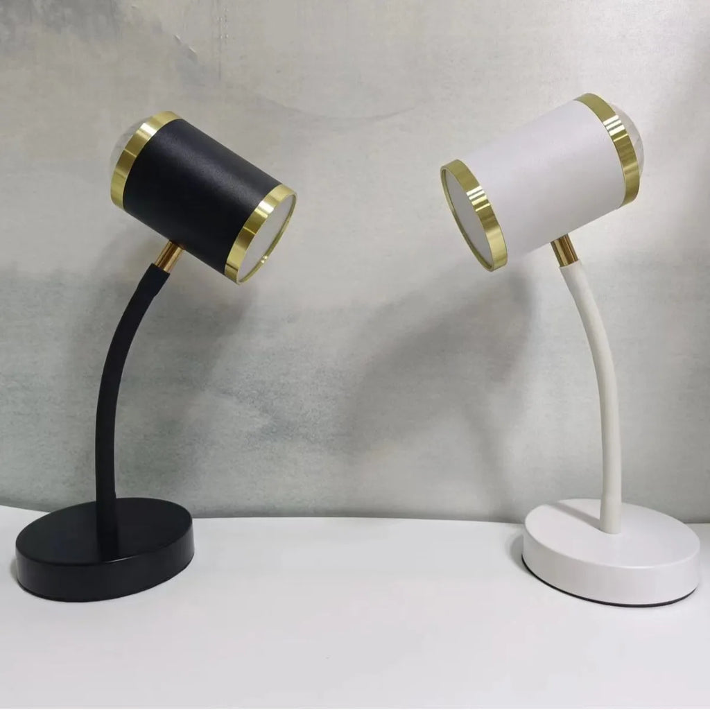 Double-headed photography streaming lamp with adjustable metal arms in black minimalist design