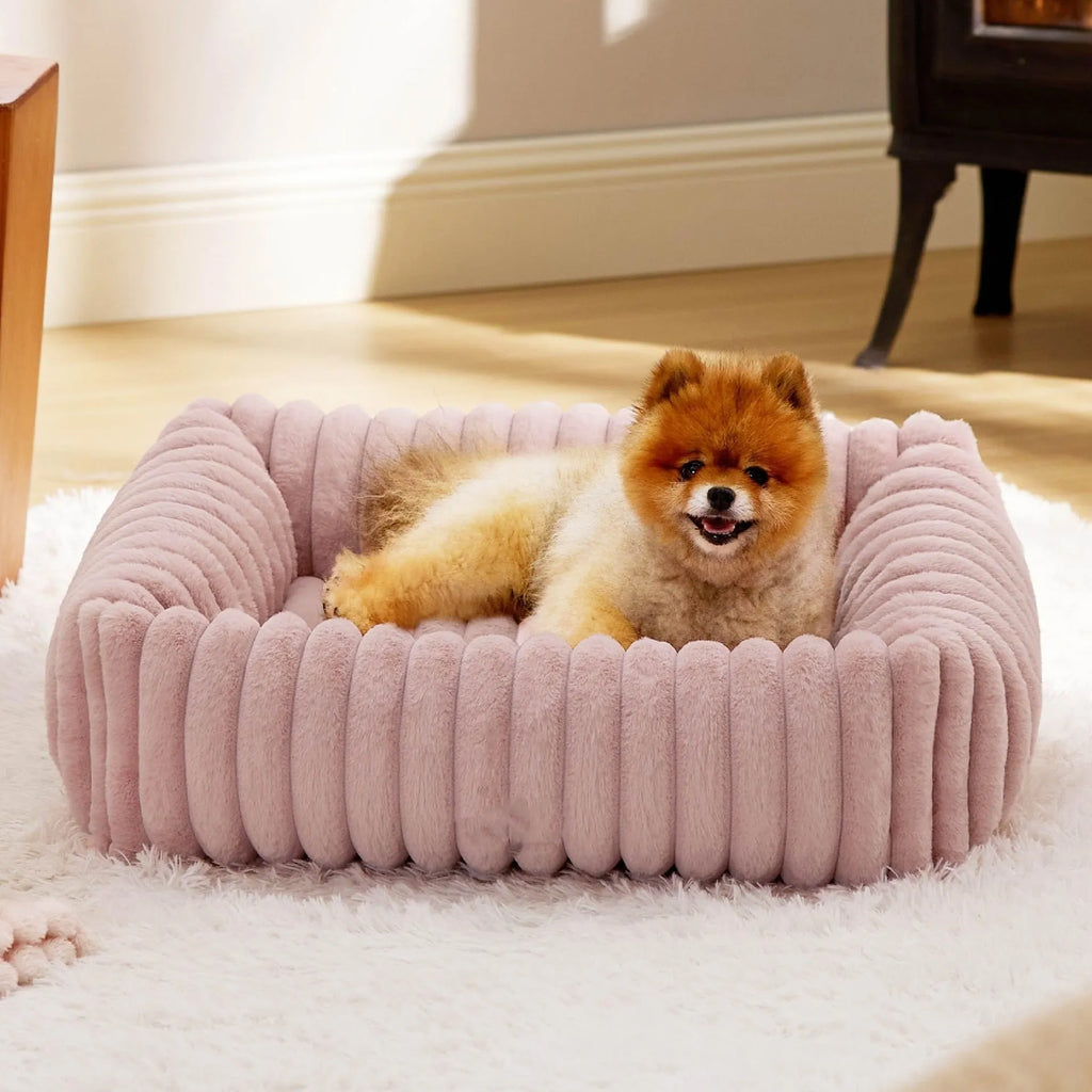 Beige raised-side pet bed for a medium-sized dog, showing padded base and supportive sides.