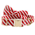 Striped personalised dog collar in Candy Green with engraved lettering area and matching bow knot