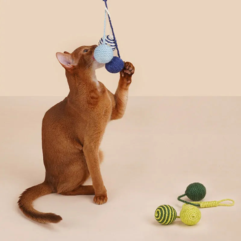 Blue, green, red, and yellow cat toy set with a teaser stick and a catnip ball.