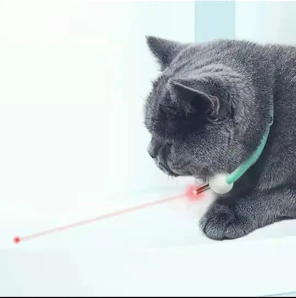 Automatic cat teaser kitty laser pen light with PC TPC material in monochrome colour for indoor cat play