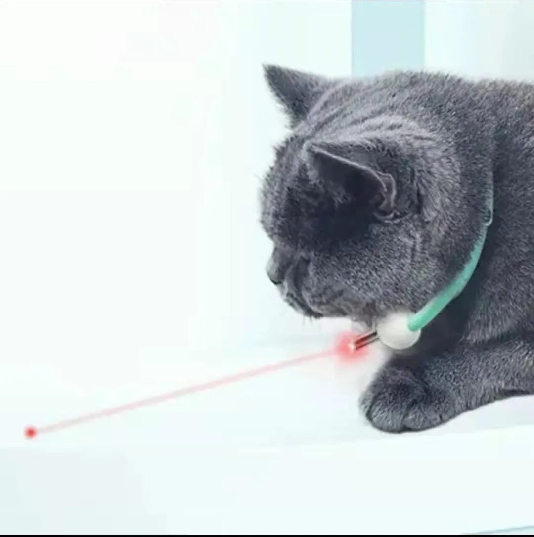 Automatic cat teaser kitty laser pen light with PC TPC material in monochrome colour for indoor cat play