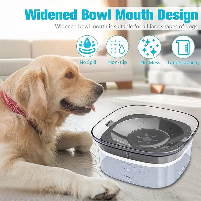 Transparent 70oz dog water bowl with floating disc showing visible water level measurement