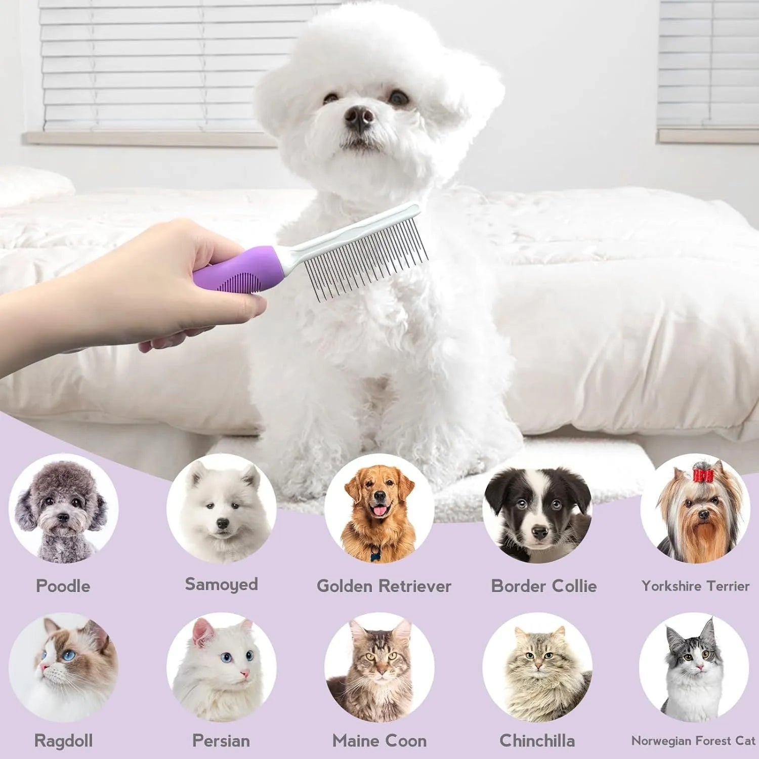 Purple pet detangling comb with stainless steel teeth for cat and dog grooming