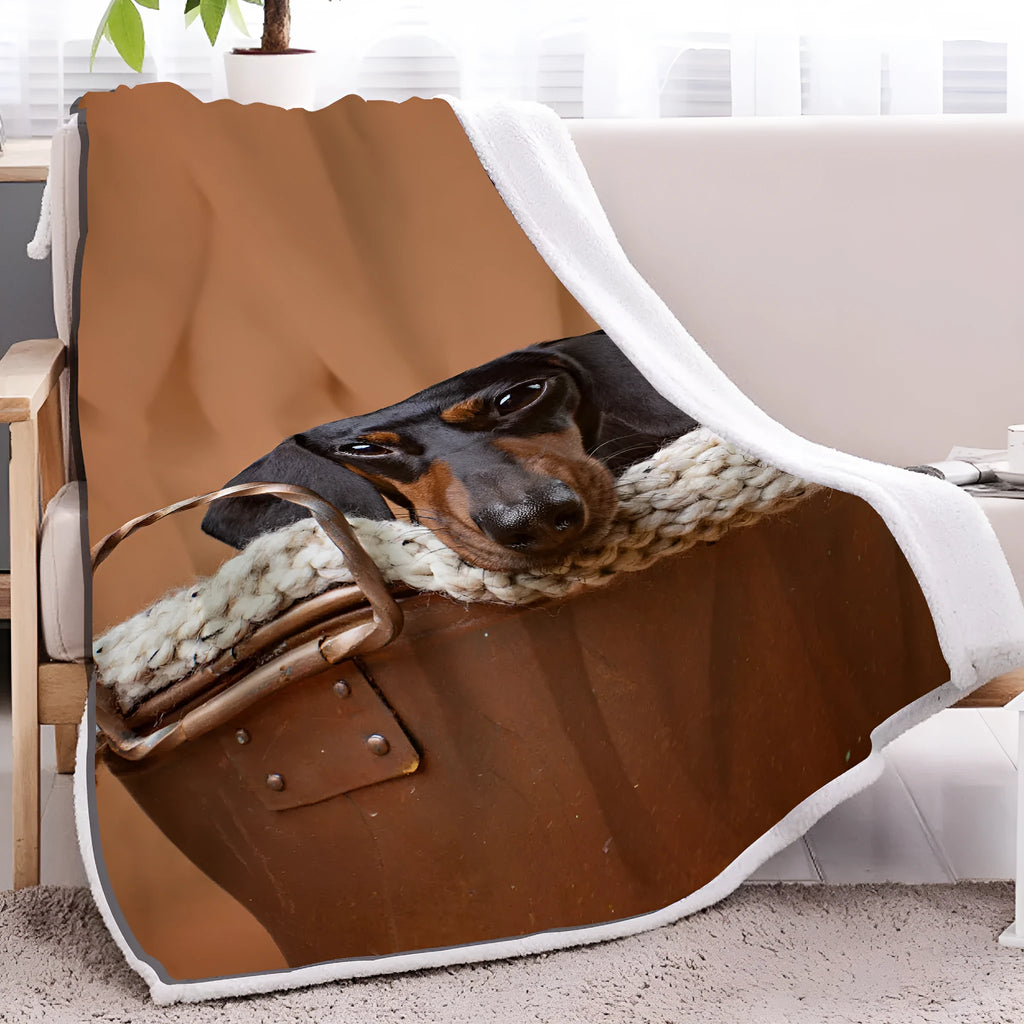 Brown sausage dog themed Sherpa fleece and lamb wool blanket in 130x150cm or 150x200cm size