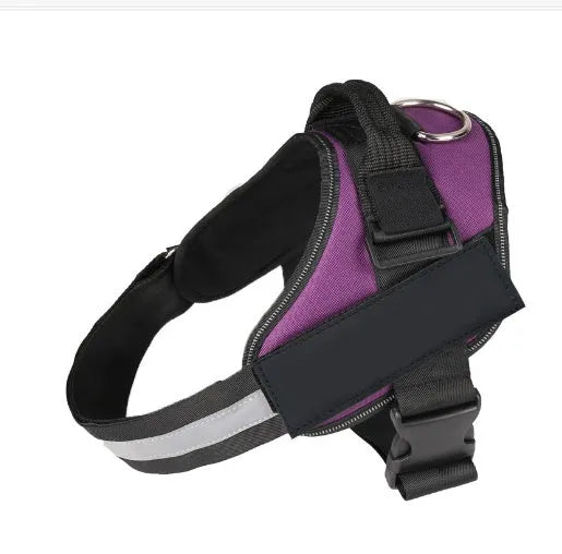 Adjustable dog harness with mesh padded vest on medium-sized dog