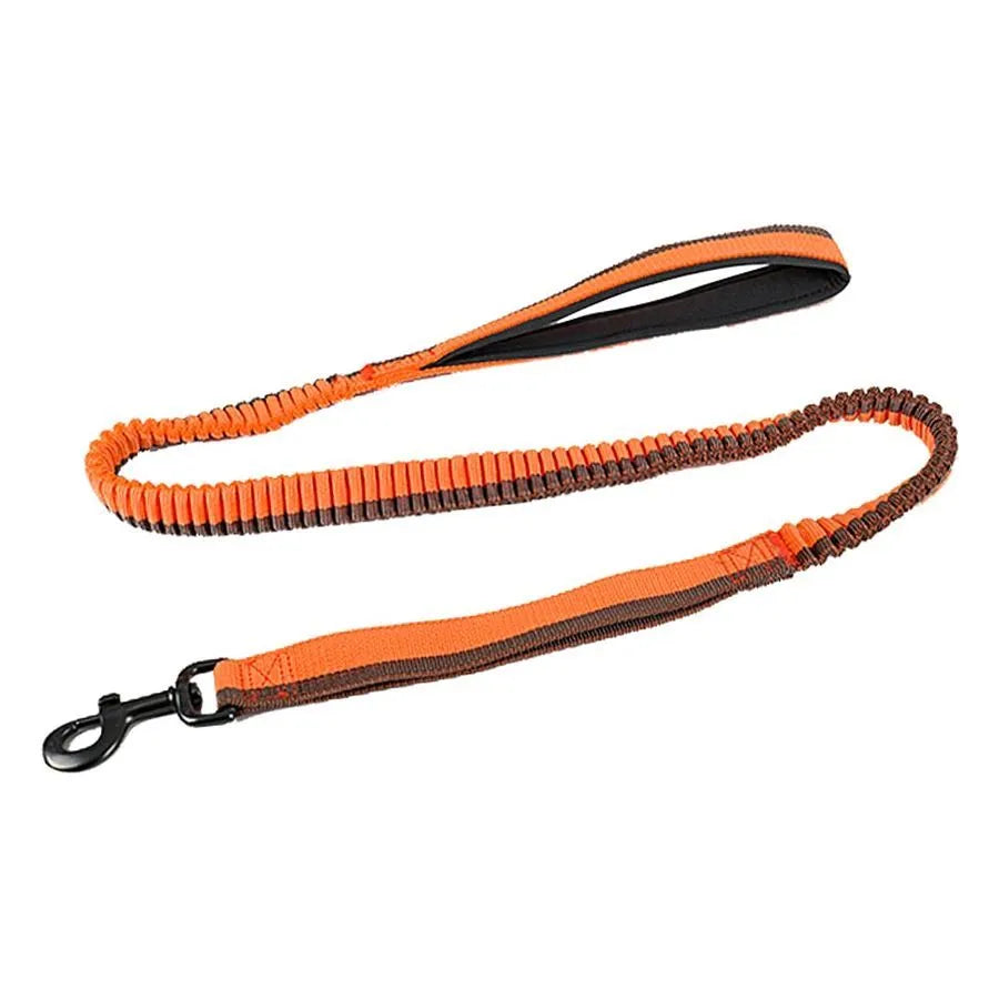 Heavy-duty green elastic dog leash with a metal clip for medium and large breed training.