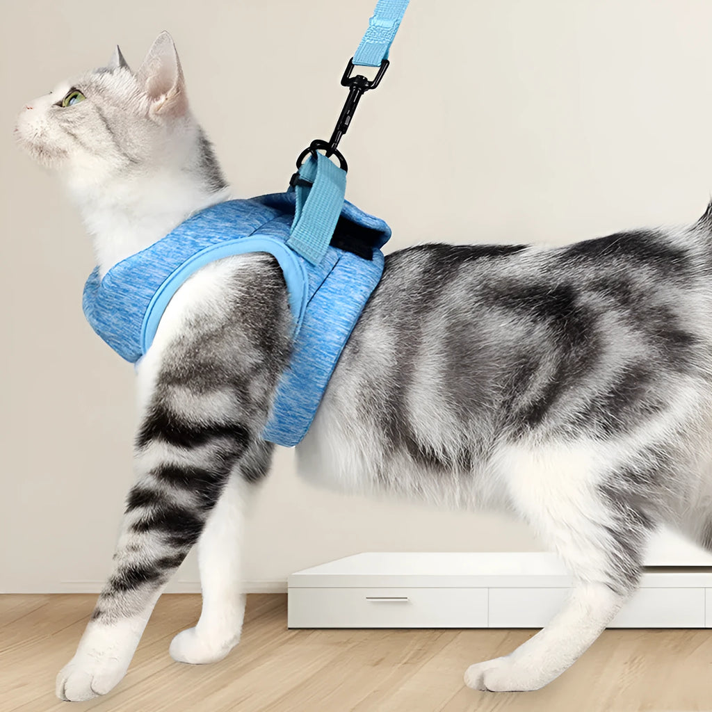 JIYUANPET cat leash lace rope breathable lightweight chest strap in sky blue for medium cats