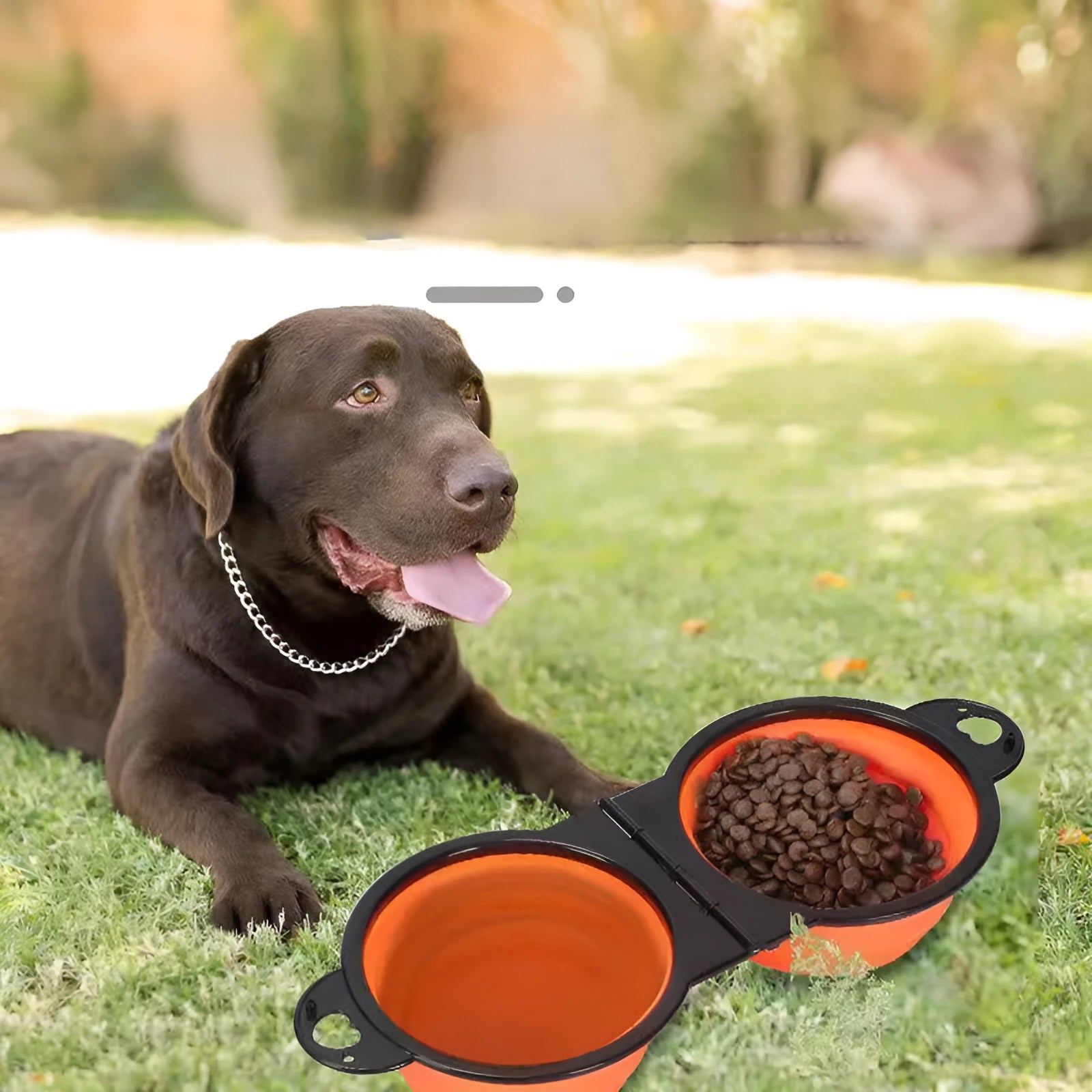 Blue folding silicone double pet bowl for dogs and cats, shown collapsed and unfolded.