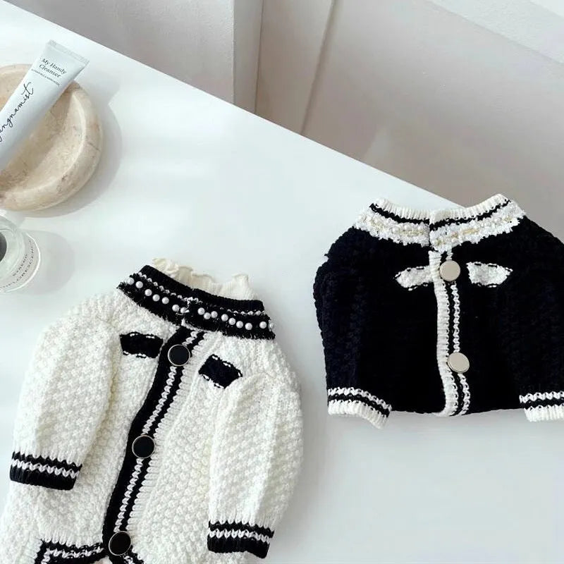 Korean style white dog sweater with pearl collar on small breed dog