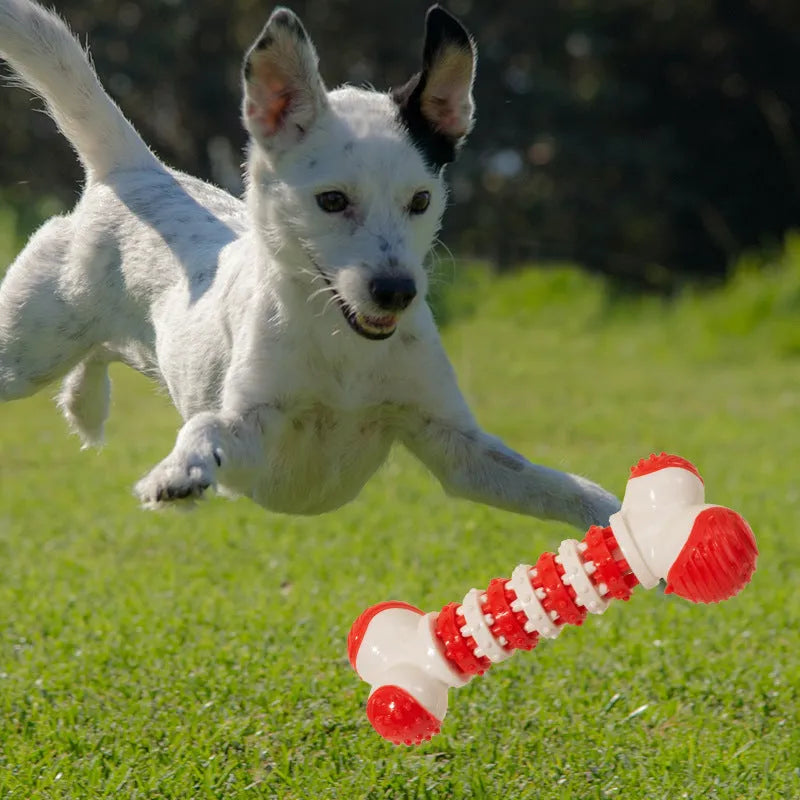Small breed dog bone toy with treat holder in blue, orange, and red colours