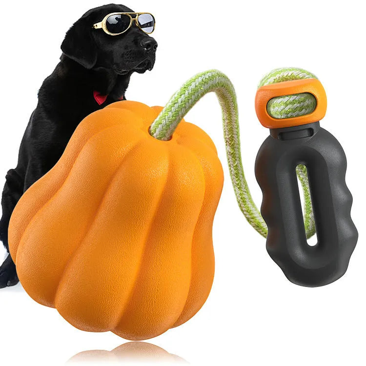 Orange pumpkin-shaped plastic dog chew toy with a blue rope attached for throwing and tugging.