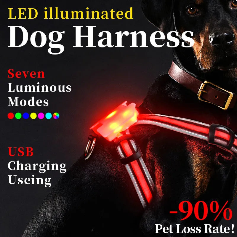 Luminous dog lead with USB charging cable showing seven-colour transformation on nylon strap