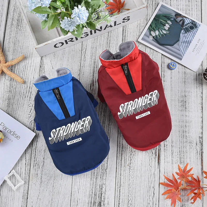 Red and blue V-shaped splicing cotton dog coat for dogs on size mannequin