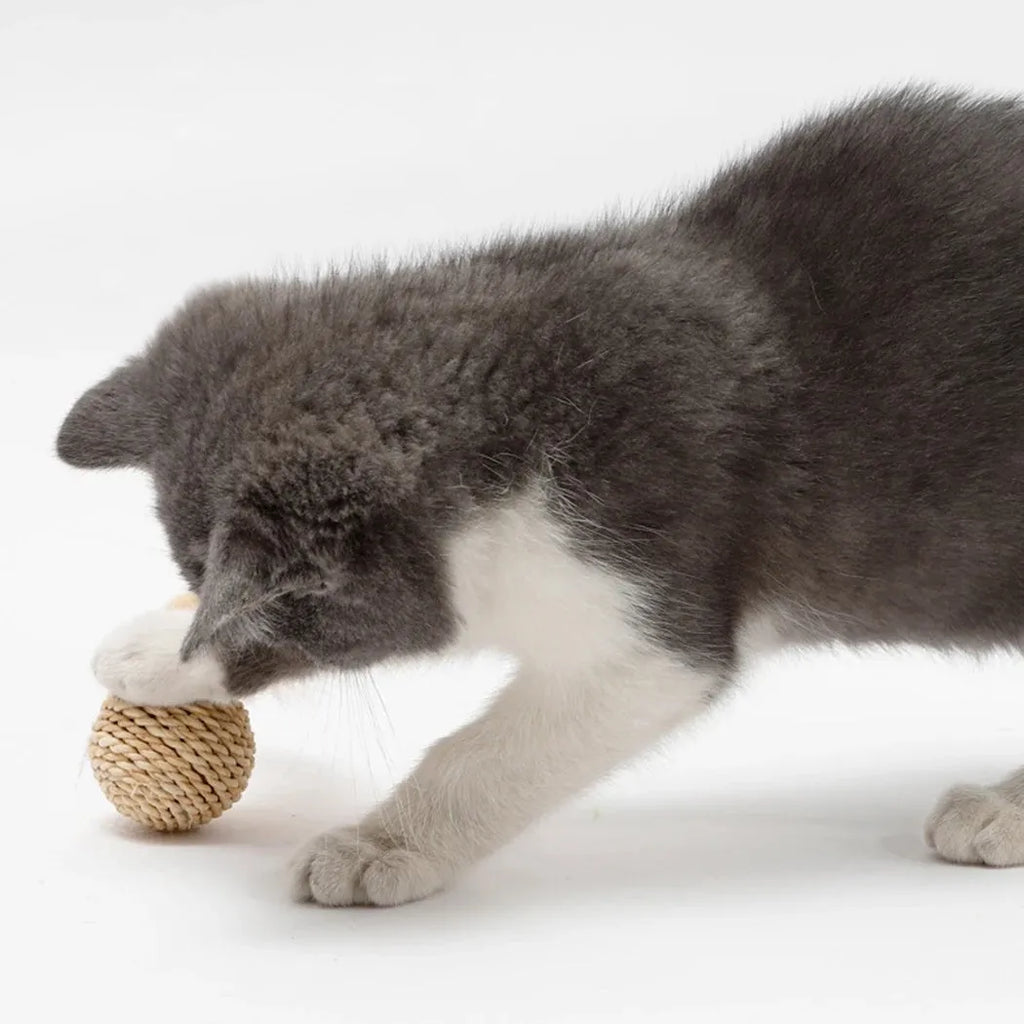 Two cat toys: hollow rattan ball and faux feather ball with bell for interactive kitten play