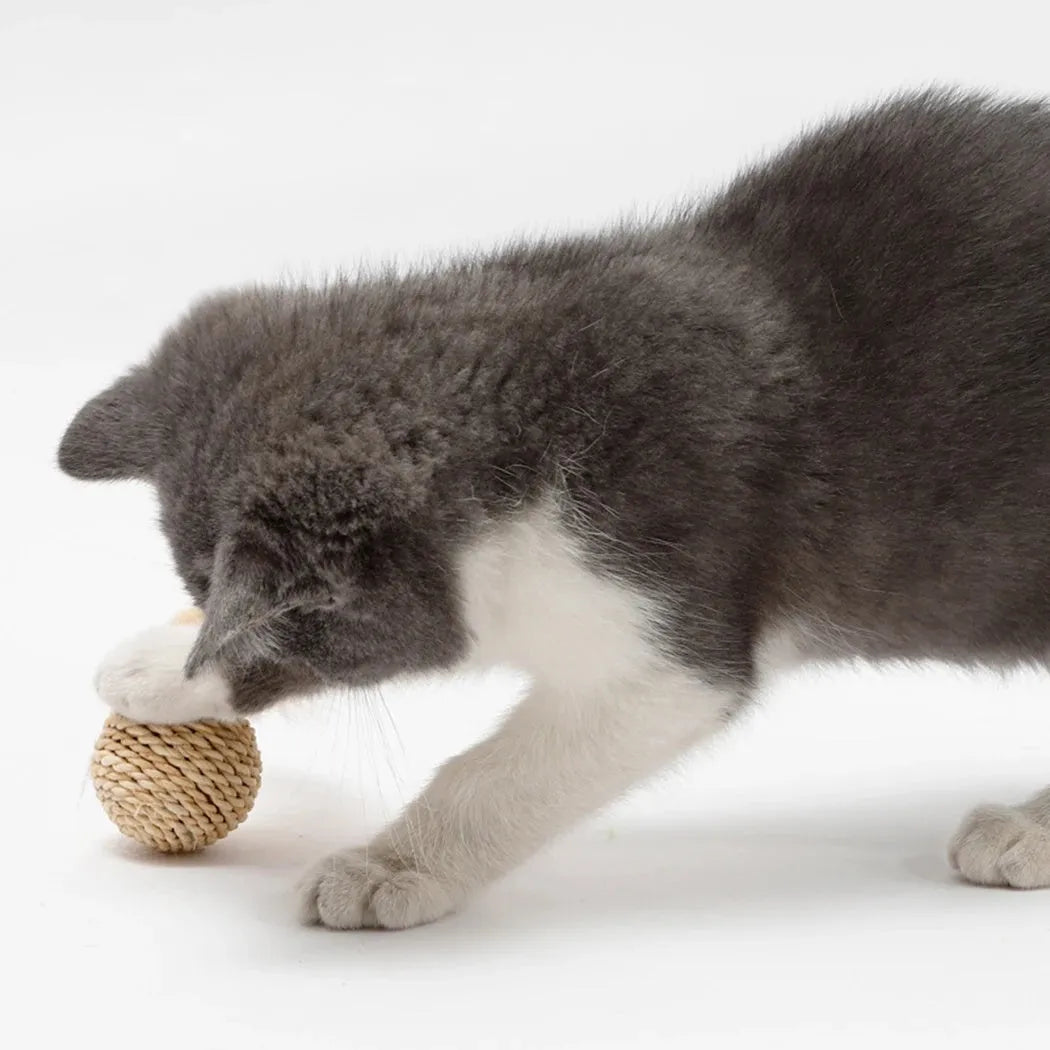 Two cat toys: hollow rattan ball and faux feather ball with bell for interactive kitten play