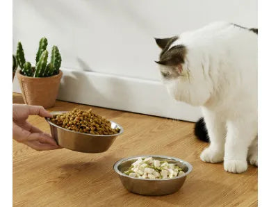 Stainless steel pet bowl for cats and dogs, shown in five different diameter sizes on a plain background.