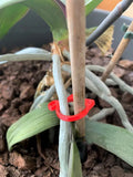 A red plastic cat-shaped plant clip holding a green stem against a garden cane.