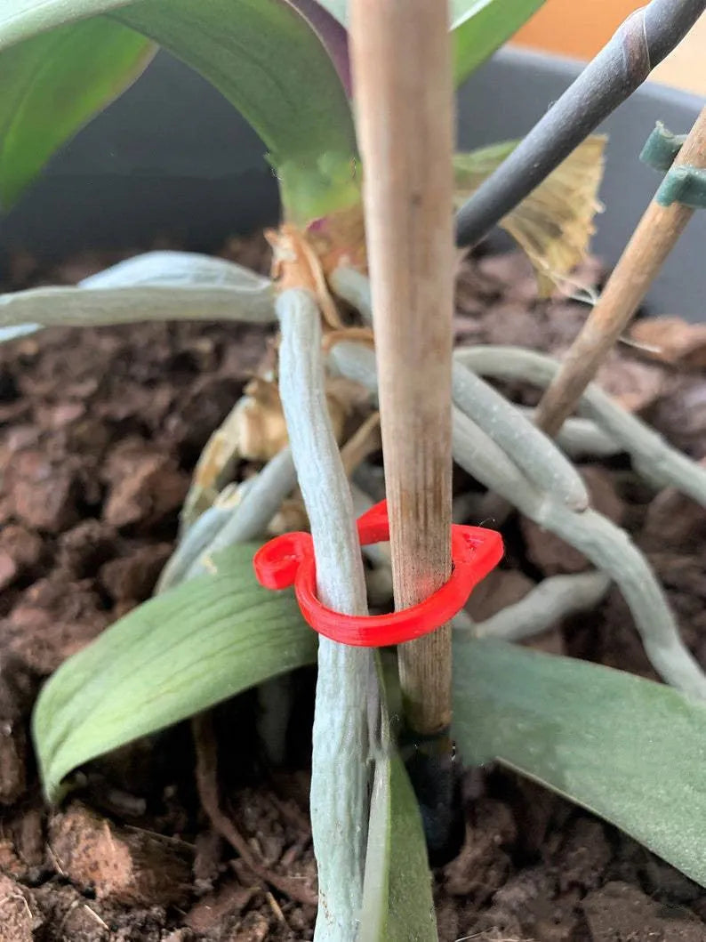 A red plastic cat-shaped plant clip holding a green stem against a garden cane.