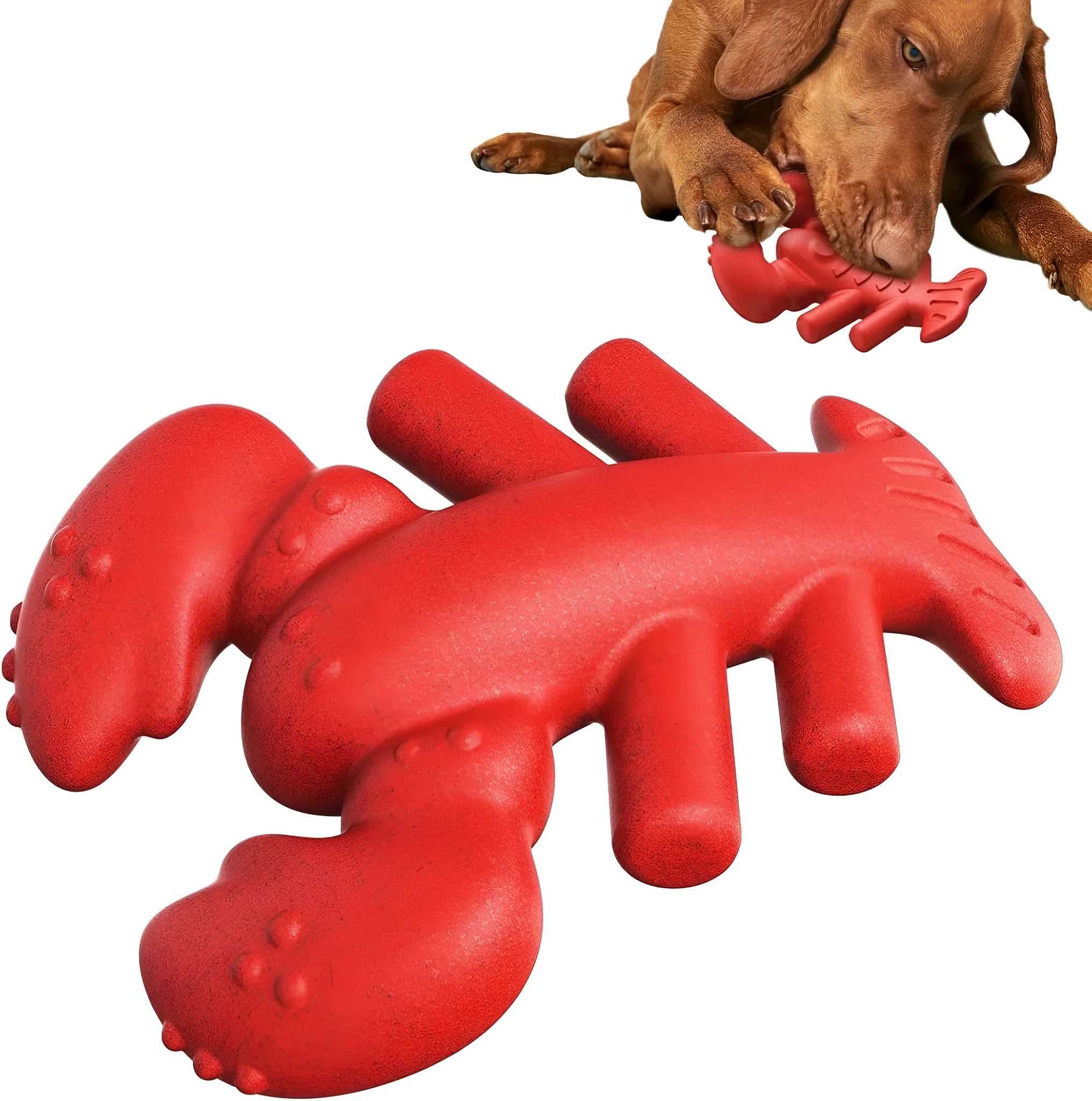 Red hard material dog chew toy for large breed dogs and aggressive chewers