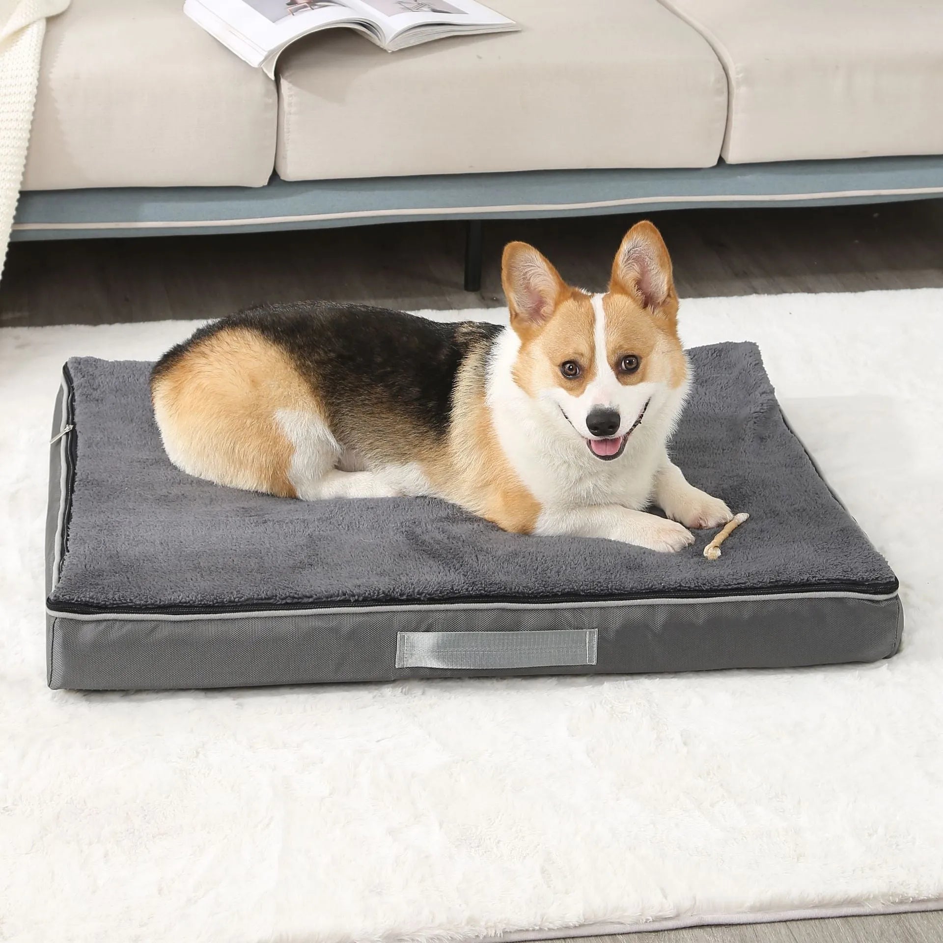 Removable cover memory sponge dog mat in multiple colour and size options