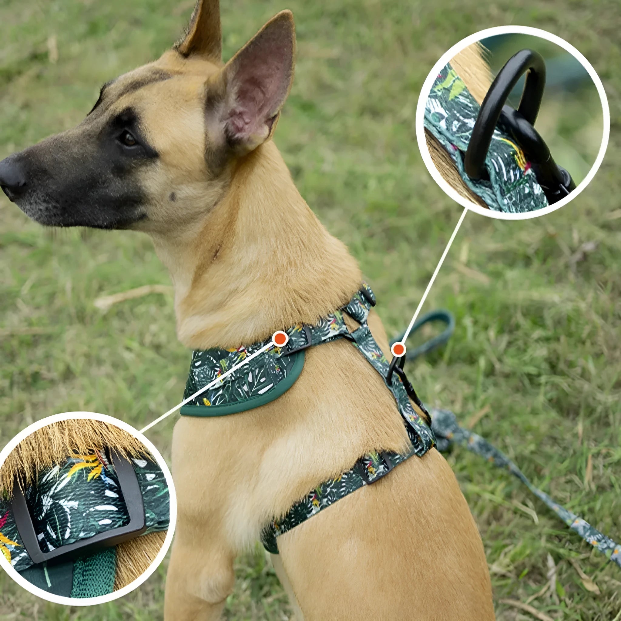 Six-piece adjustable cloth dog harness set with lead, collar, waste bag, bow, and scarf.
