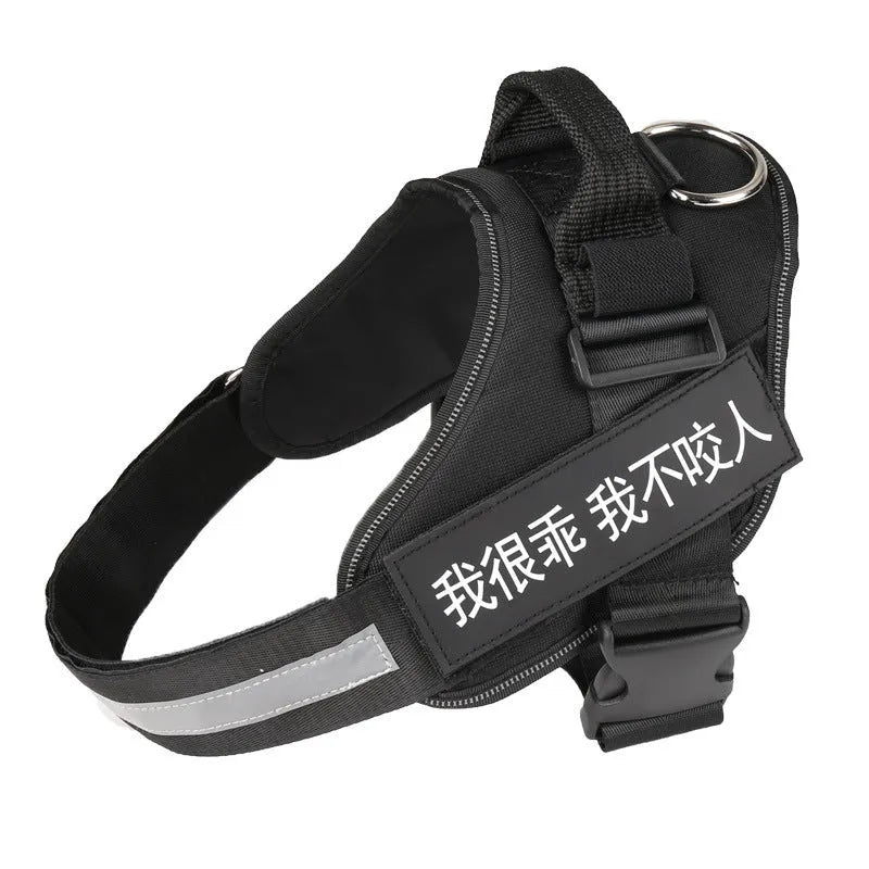 Nylon pet chest harness and leash set in red with adjustable chest strap and towing rope for dog walks