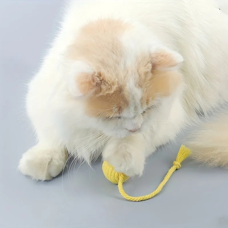 Cat toy ball with attached rope in green, pink, purple or yellow colours showing 3cm and 6cm size options