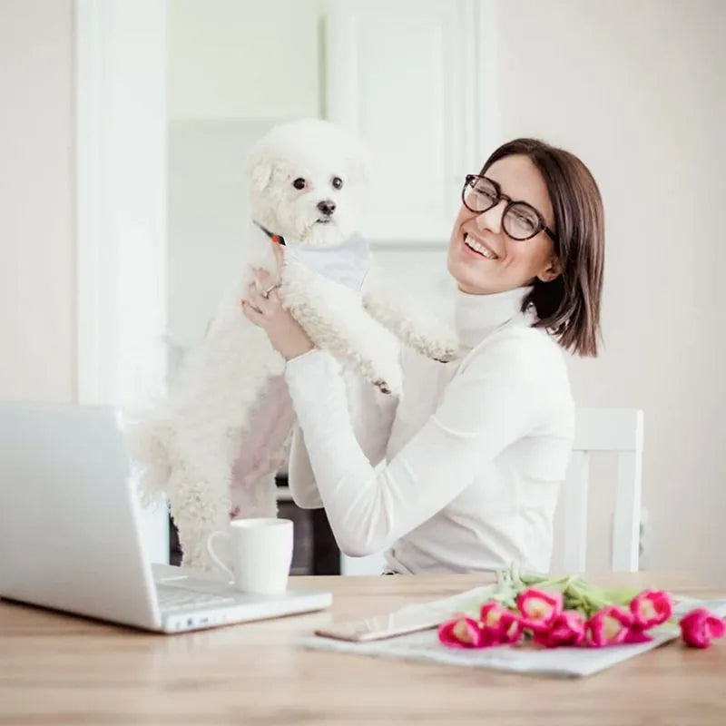 White blank polyester dog scarf for thermal transfer customisation, shown in four sizes.