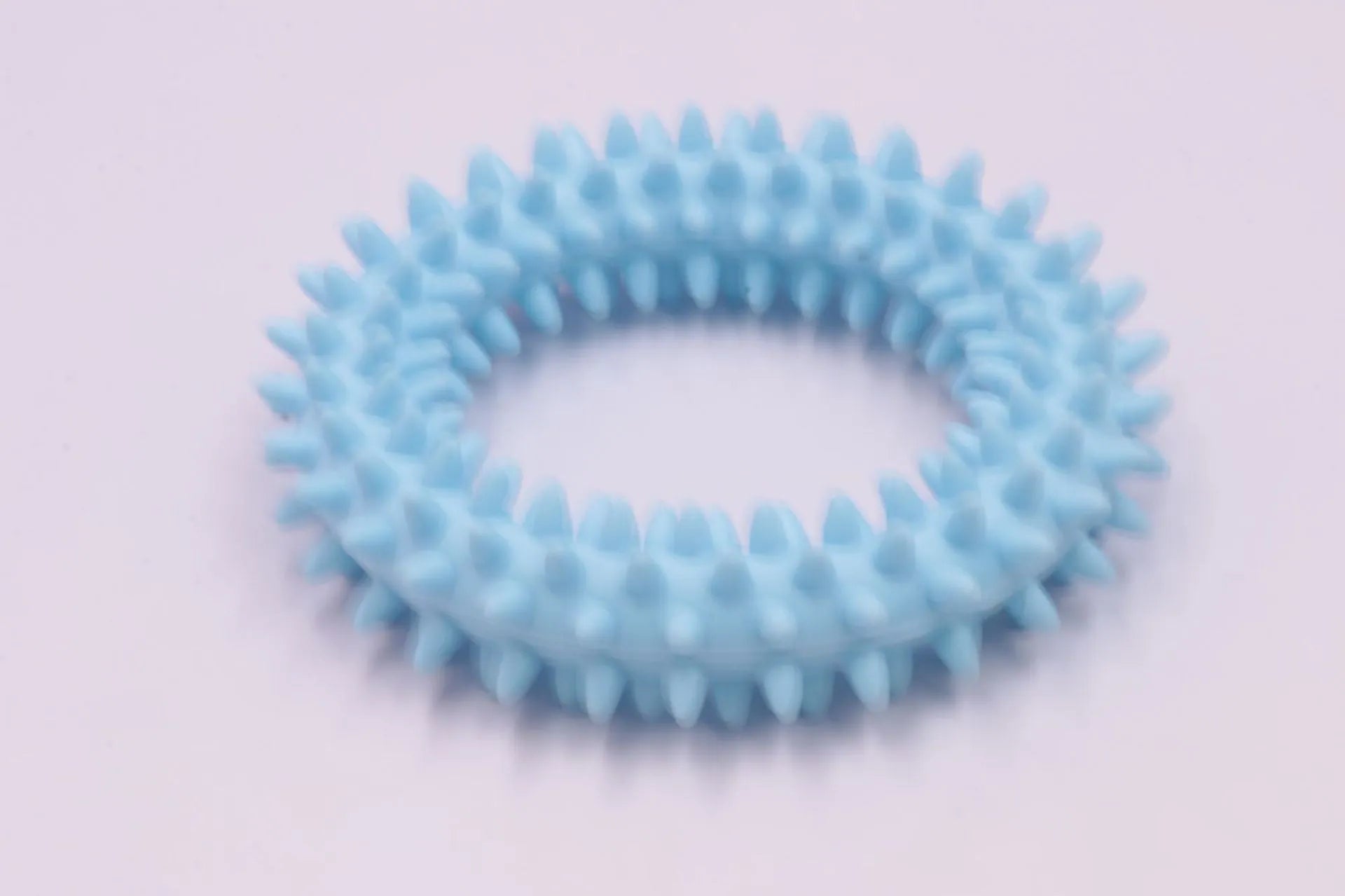 Blue TPR spiky circle ring dog chew toy on a white background.