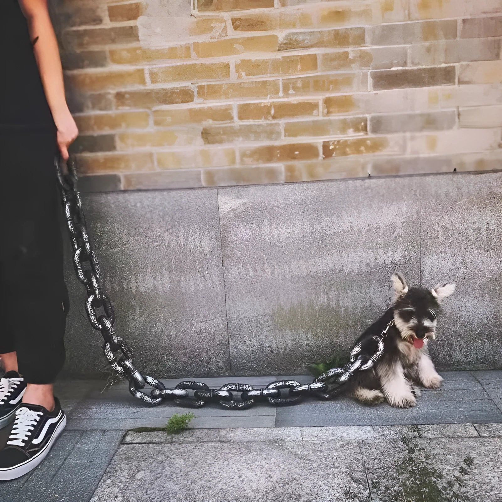 Simulation dog leash prop in bronze colour with rope-style design and chain detailing for video production