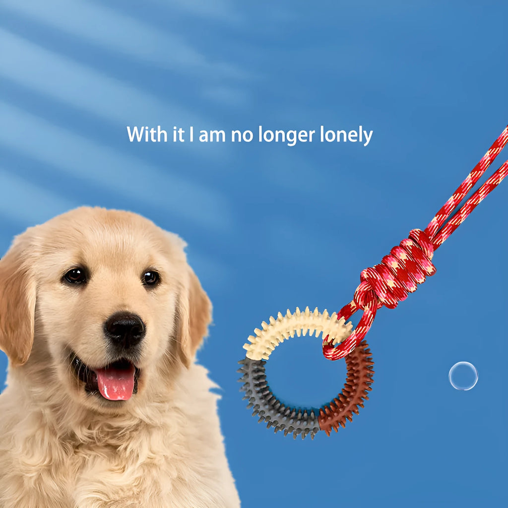 Blue braided rope knot dog chew toy on a white background