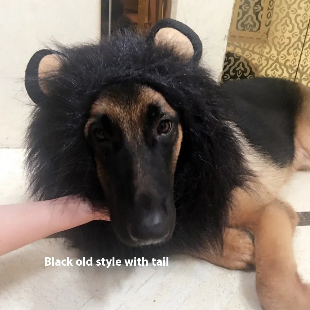 Dog wearing lion head costume wig in light brown colour with elastic neckband