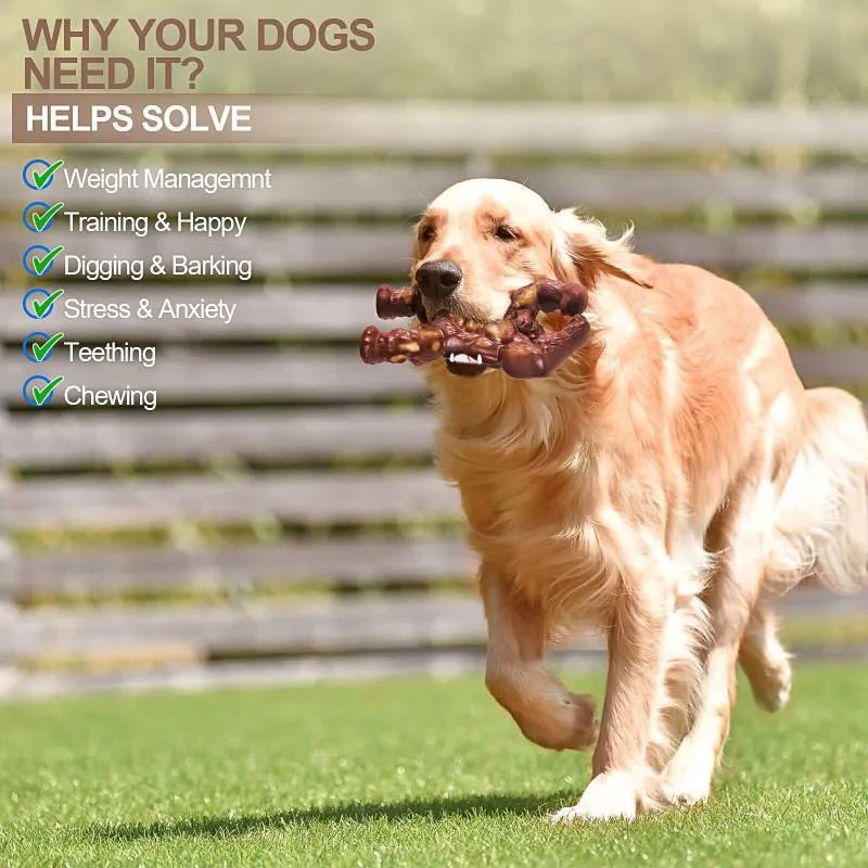 Scarlet red beef-flavoured nylon dog chew toy for molar cleaning and dental exercise