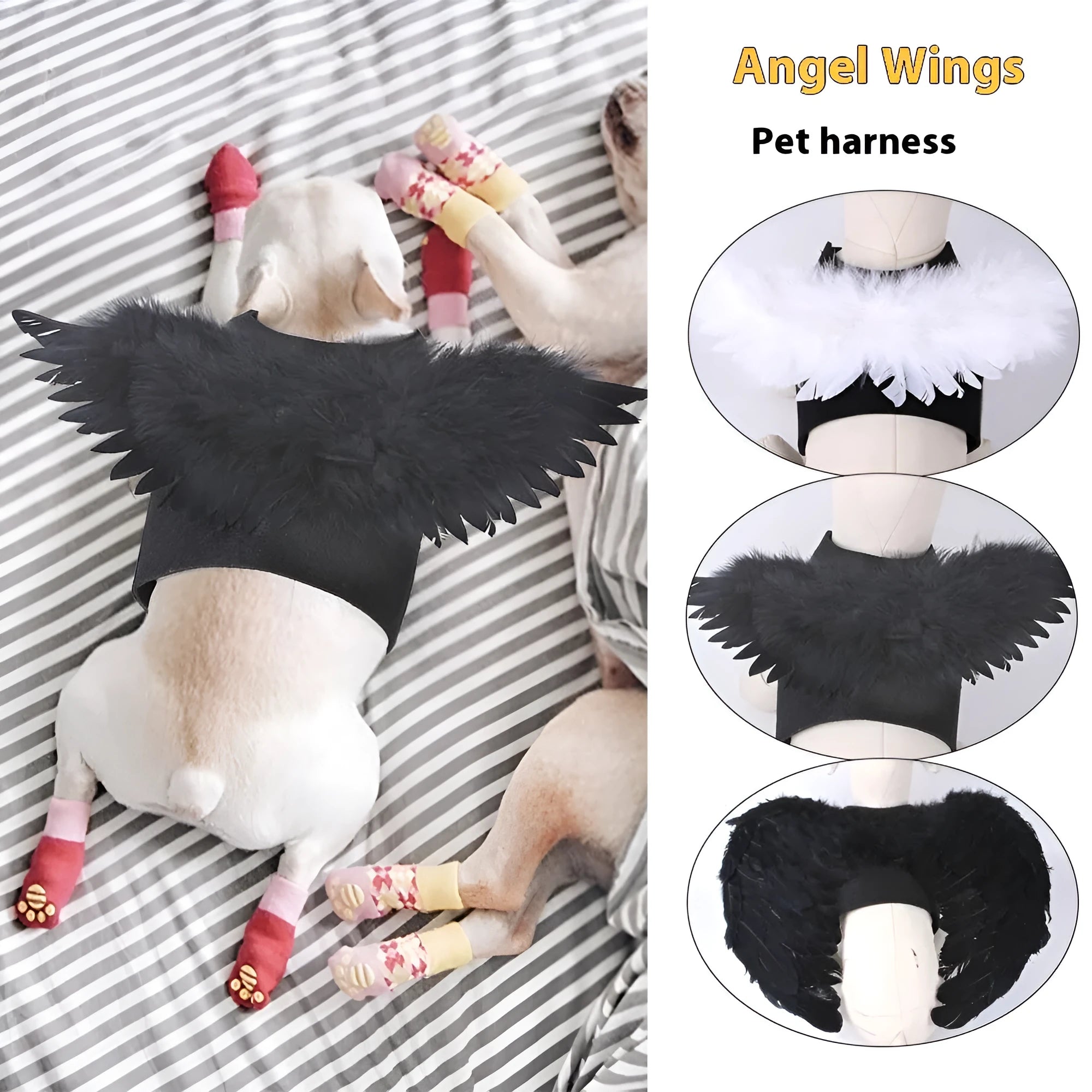 Black and white angel wings dog costume on chest and back with felt fabric