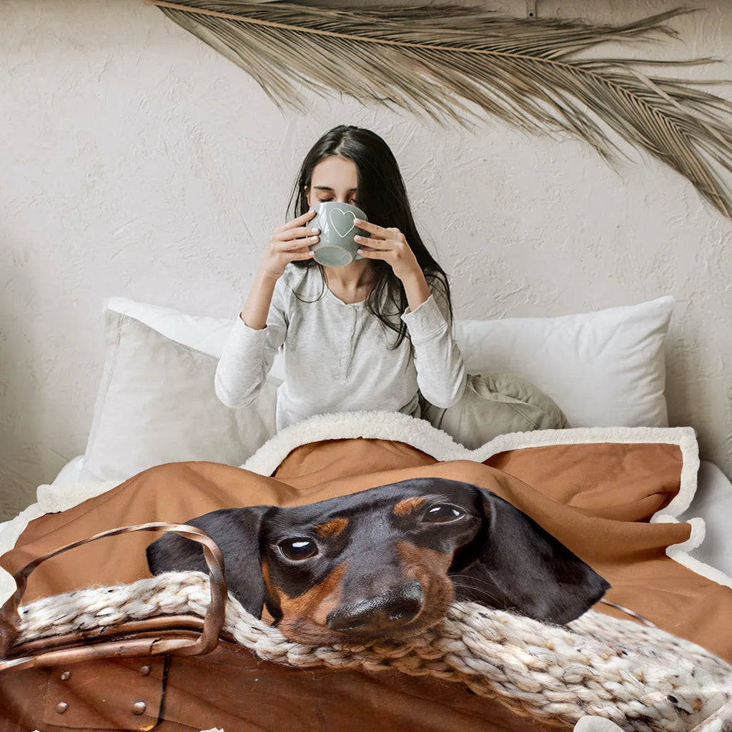 Brown sausage dog themed Sherpa fleece and lamb wool blanket in 130x150cm or 150x200cm size