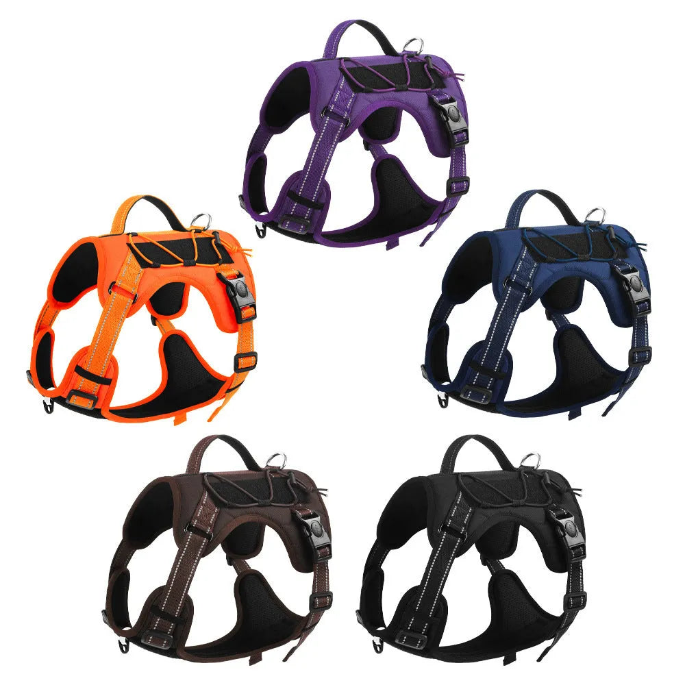Orange dog harness with reflective trim, showing the explosion-proof chest strap and attached black hand-holding rope.