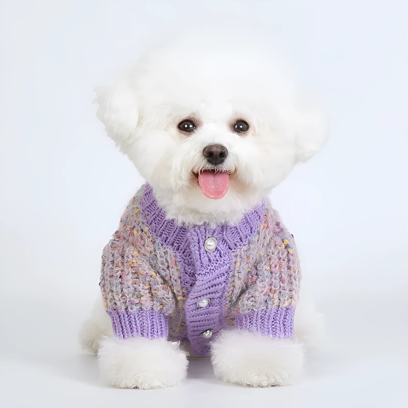 Purple dog cardigan sweater on pet model showing casual polyester construction