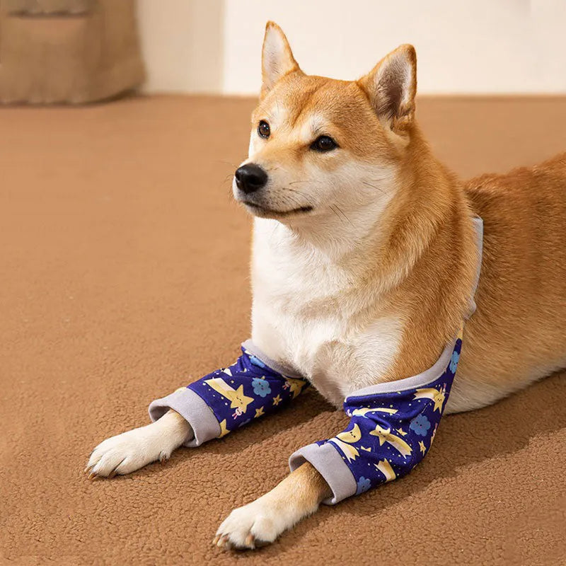 Blue dog knee protector sleeve with padded elbow patch and matching scarf, shown on a medium-sized dog