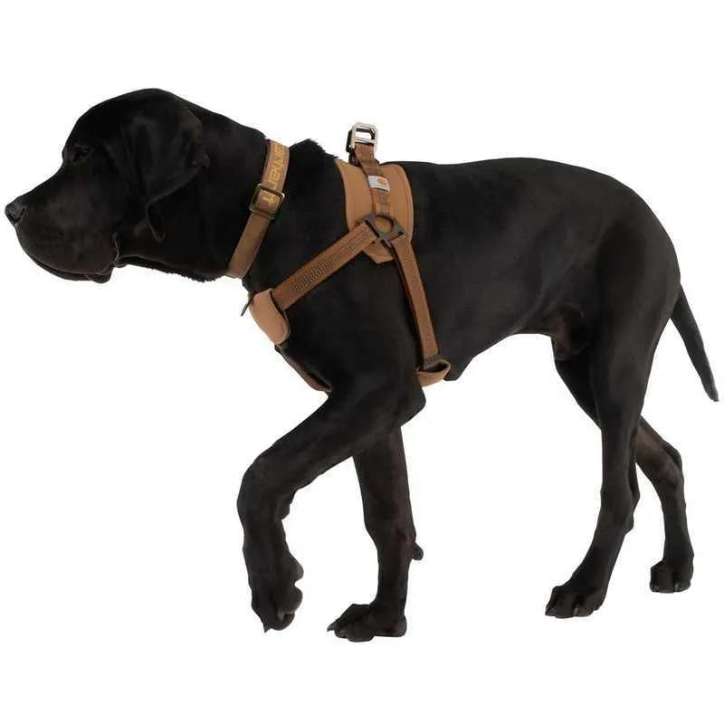 Dog training chest strap harness with reflective hand holding rope in adjustable sizes M L XL