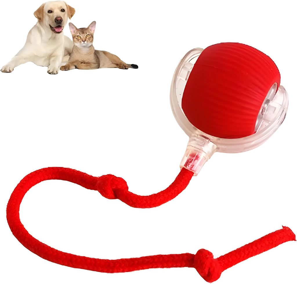 Grey automatic rolling ball toy for dogs and cats with attached rope, showing 6.5cm diameter