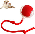 Grey automatic rolling ball toy for dogs and cats with attached rope, showing 6.5cm diameter