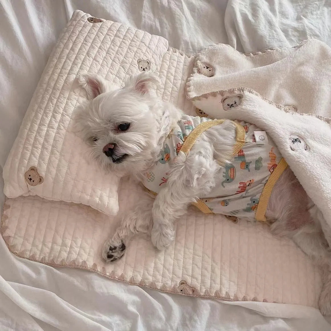 Simple Bear design dog bed set with pillow, mattress and comforter on grey background