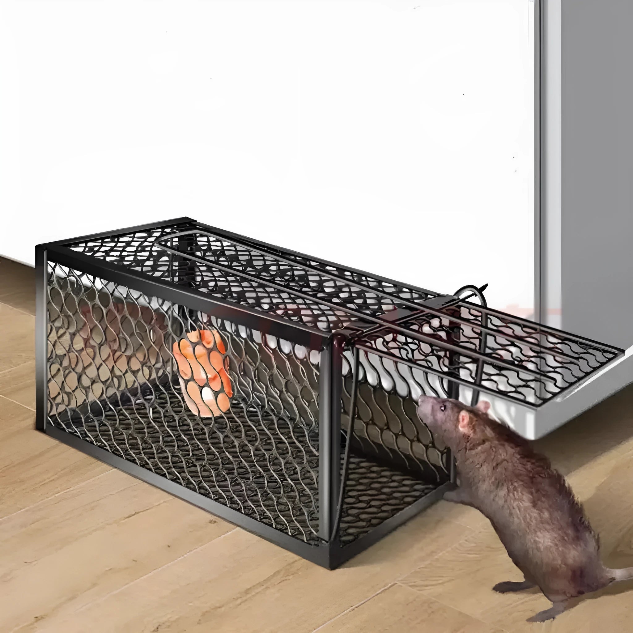 Automatic mouse cage trap in metal or plastic, shown in small, medium and large sizes for indoor use.
