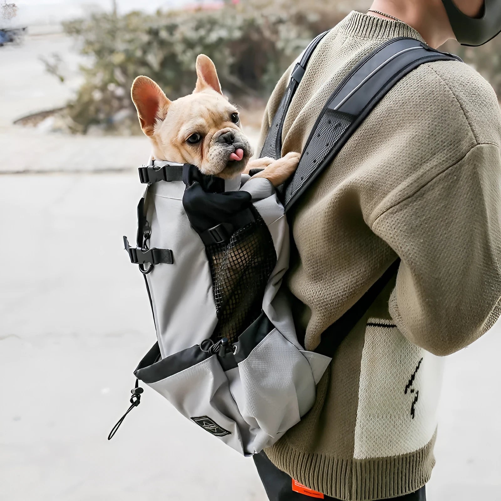Pet dog carrier bag backpack in plain polyester with double shoulders, available in multiple colours and sizes S to XL